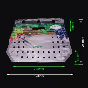 Geantă de ambalaj tipplat de ziplock din fructe de struguri din plastic eco-prieten cu găuri de evacuare
