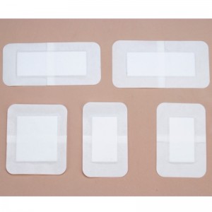 Pansament aderent plagii