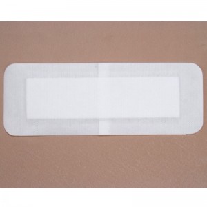 Pansament aderent plagii