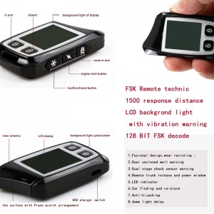 apucător de coduri de la distanță pentru mașină LCD cu două sensuri