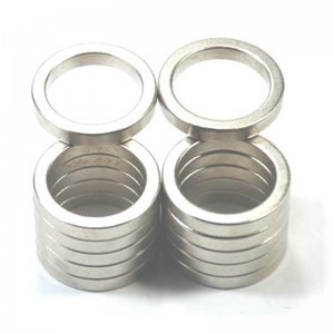 Personalizați magnetul cu inel monopol.