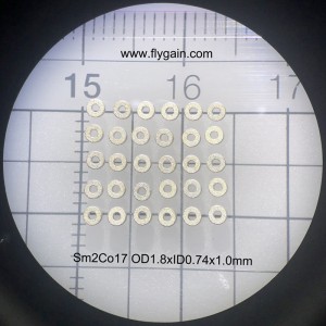 Producător din China Magnet mic de precizie mic pentru motor