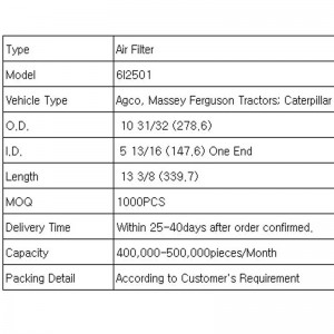 Filtru de aer (6I2501)