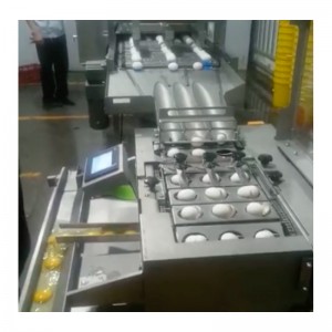 WXD96 Spălător de ouă şi uscător şi aparat de rupere