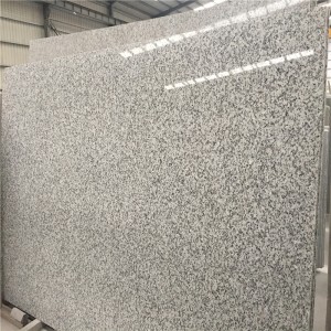 Plăci de granit Delta White G439