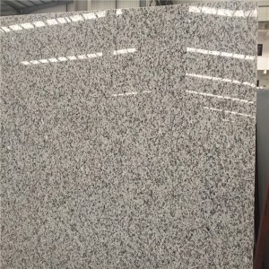 Plăci de granit Delta White G439