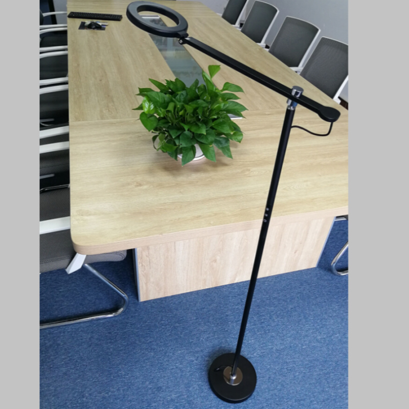 68886 Living Room Metal Standing Lighting Standard Lamp ă LED pentru Acasă, Hotel