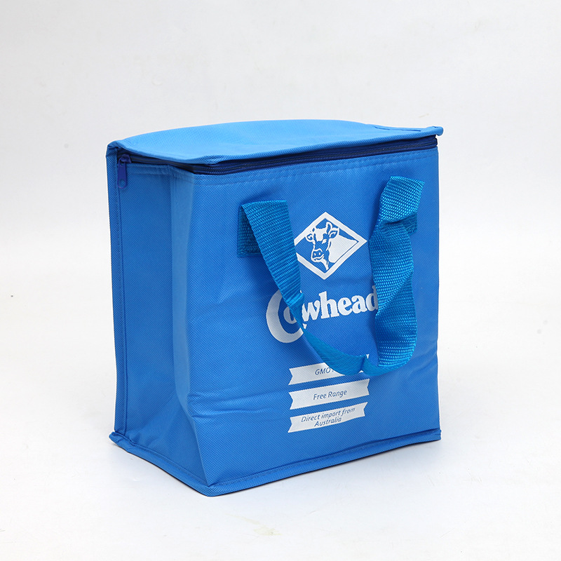SGC30 Comerț cu ridicata la prețuri promoționale Reciclabile Logo personalizate tipărite Tote Geanta frigorifică izolată