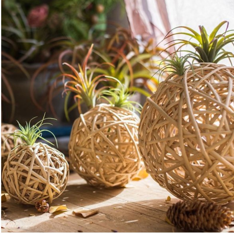 Garniture Circle cu lumini pentru Festivaluri