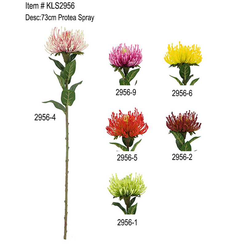 73cm Protea Spray