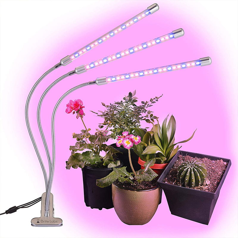 B1 Led UVC