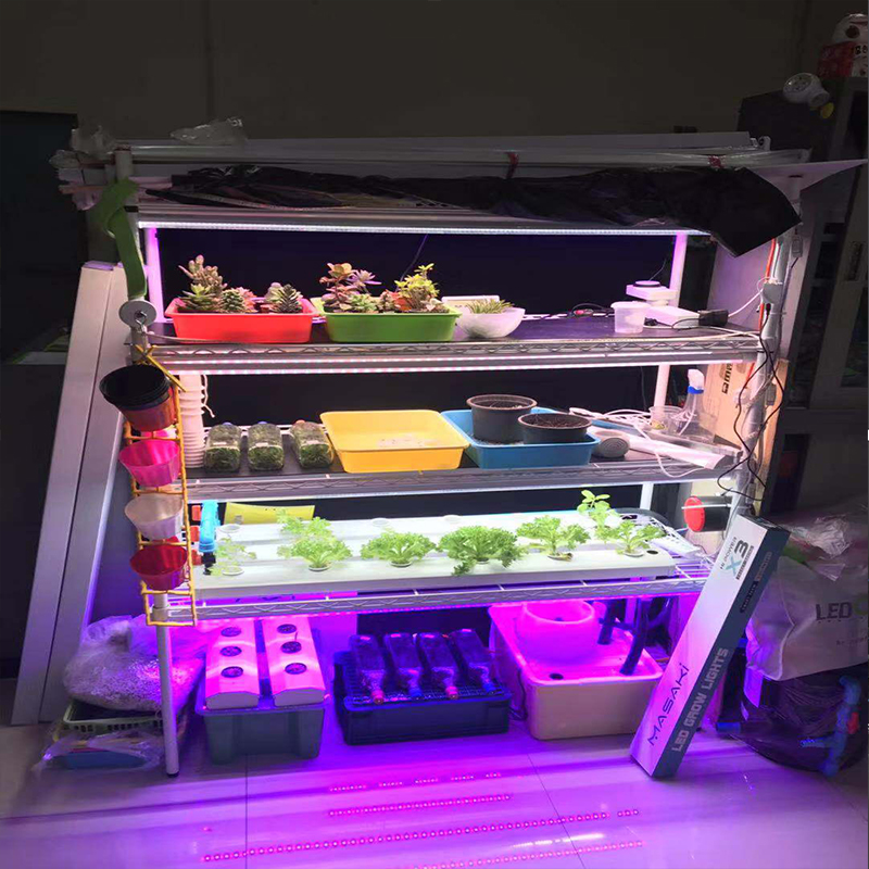 G1 Lumini de creștere a plantelor