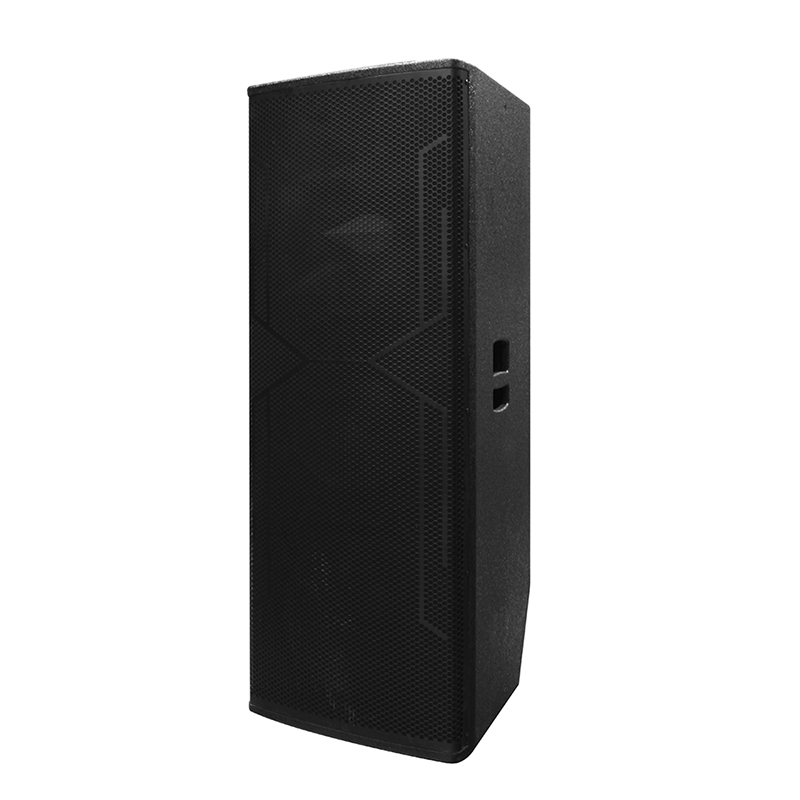 Big DJ Speaker Y-450DH