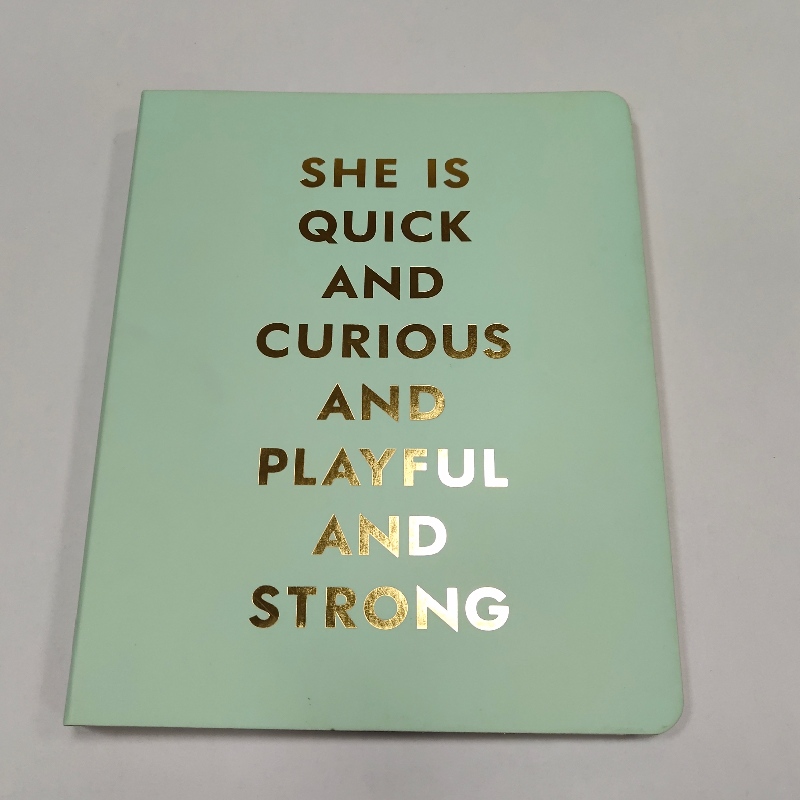 Coil obligatoriu notebook gold stamping retro jurnal întâlnire notebook