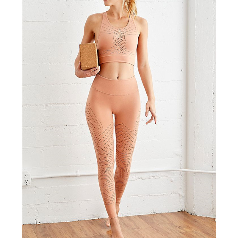 Ecologie Bra