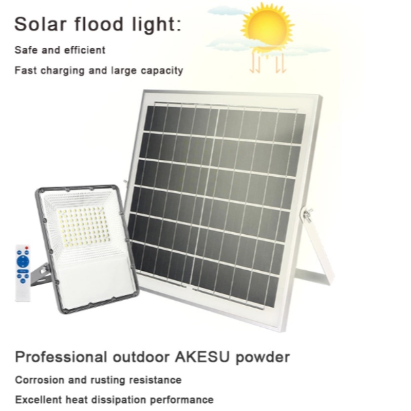 IP65 20W 30W 50W 100W 200W Led Solar Flood Light with elimina controler