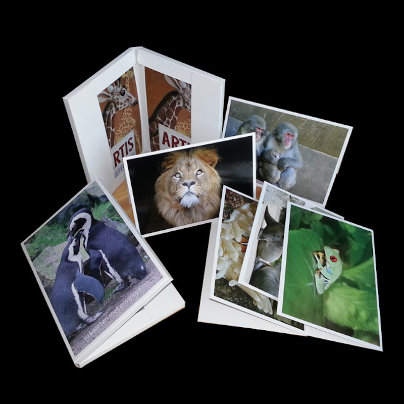 Carte de salut pentru toate ocaziile, card de hârtie, cu Plicuri.Suvenire pentru călători