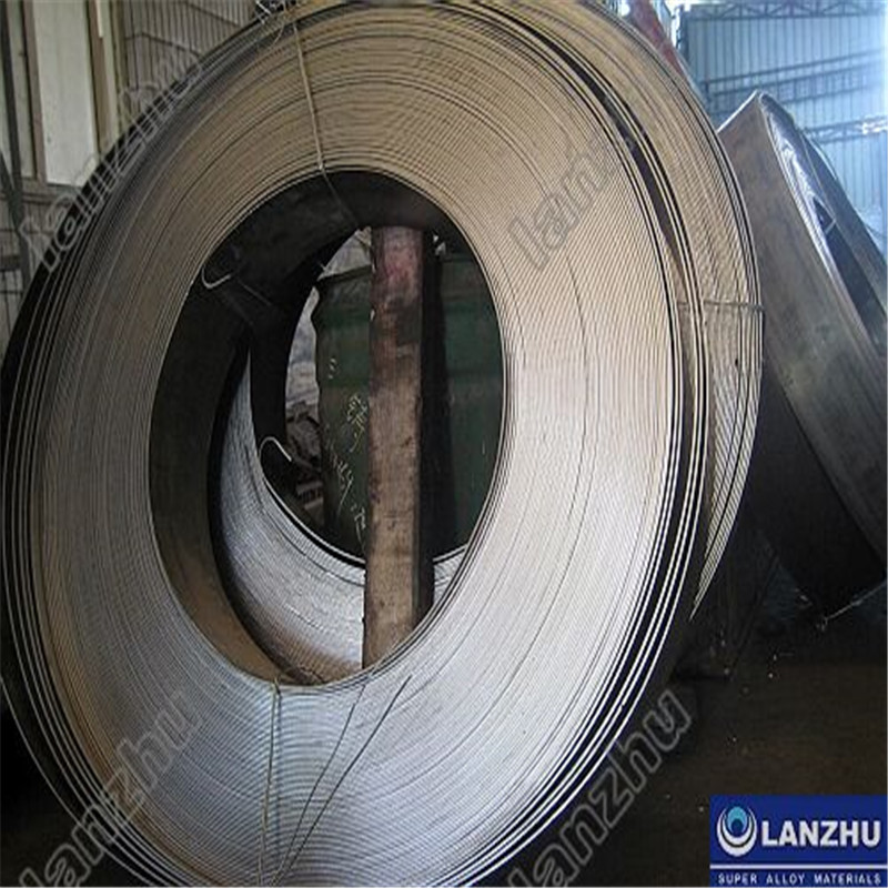 HASTELLOY®C-276 Turnarea, corpul supapei (N10276, W.NR.2.4819, Nichel Alloyc-276)