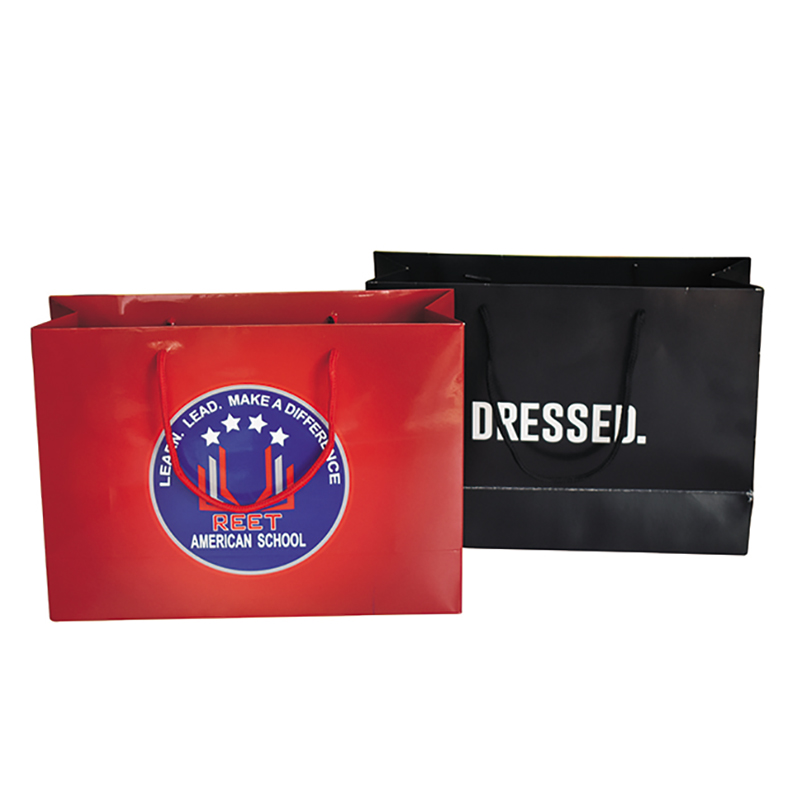 Sac de cumpărături 001