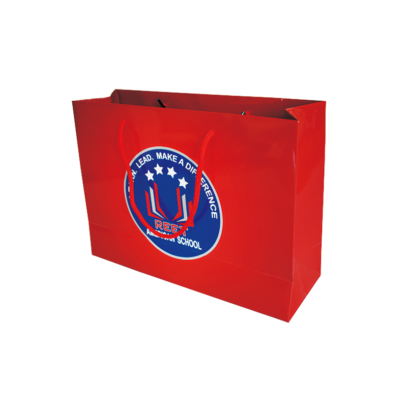 Sac de cumpărături 001