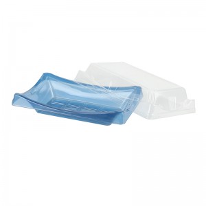 Sushi Tray fundul albastru