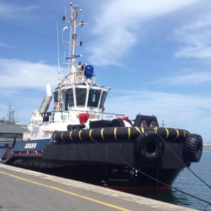 Vehiculele de remorcher ale docurilor marine durabile