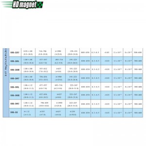 Magnet Samarium Cobalt