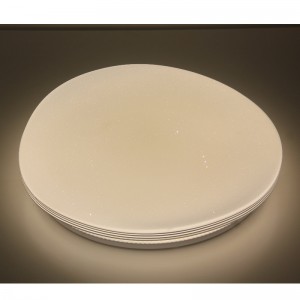 CX208 Lumina plafonului