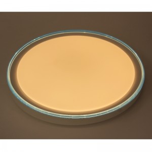 CX257 Lumina plafonului