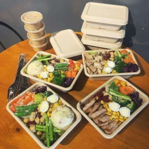 Dreptunghi ecologic recipiente de ambalare a produselor alimentare biodegradabile pentru mâncare de luat masa amidon de porumb recipient de unică folosință