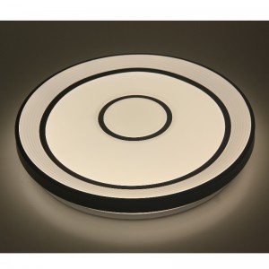 Lămpi de tavan CX350