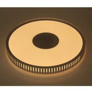 CX367 Lumina plafonului