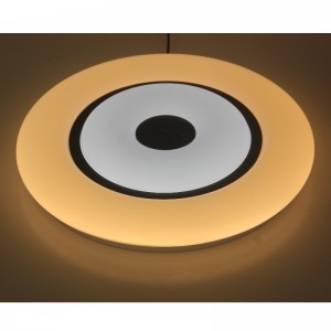 Lumină de tavan CX369