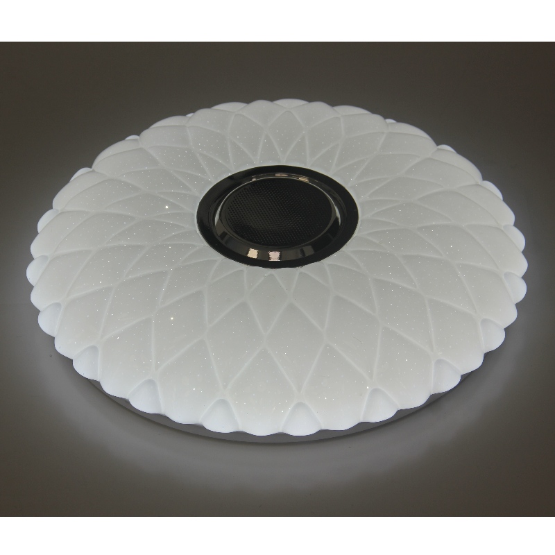 MU101 Lumina plafonului