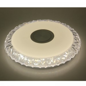 MU103 Lumina plafonului