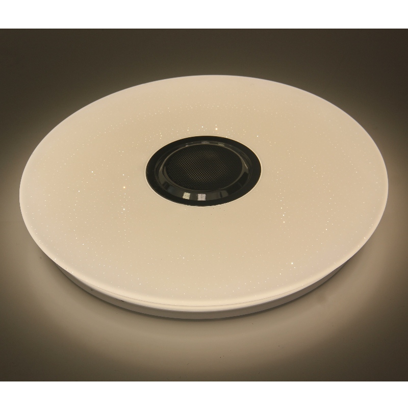 MU104 Lumina plafonului