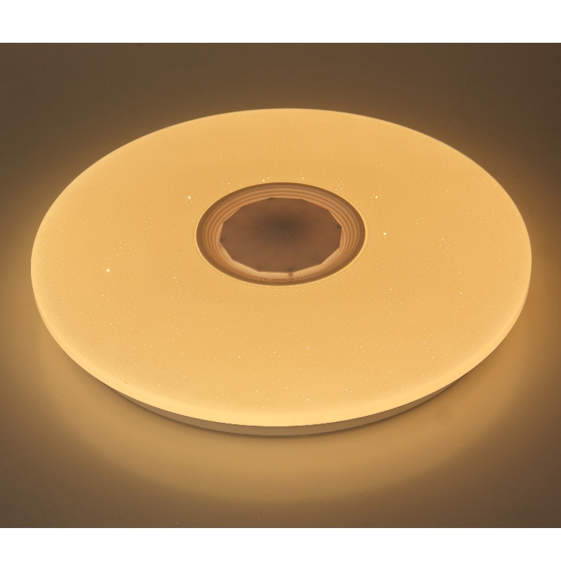 MU107 Lumina plafonului