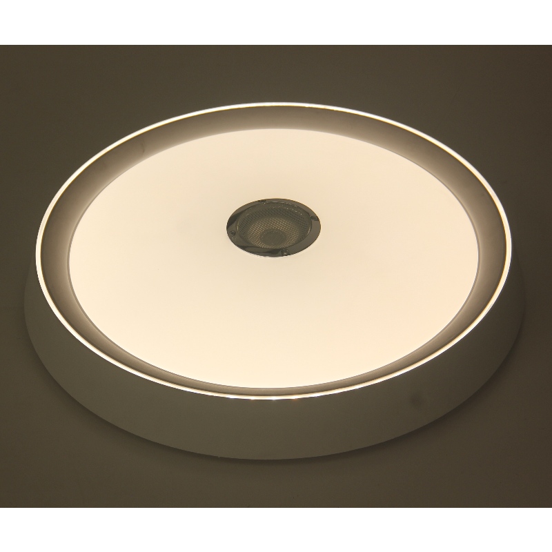 MU108 Lumina plafonului