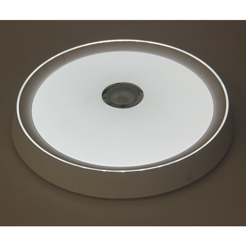 MU108 Lumina plafonului