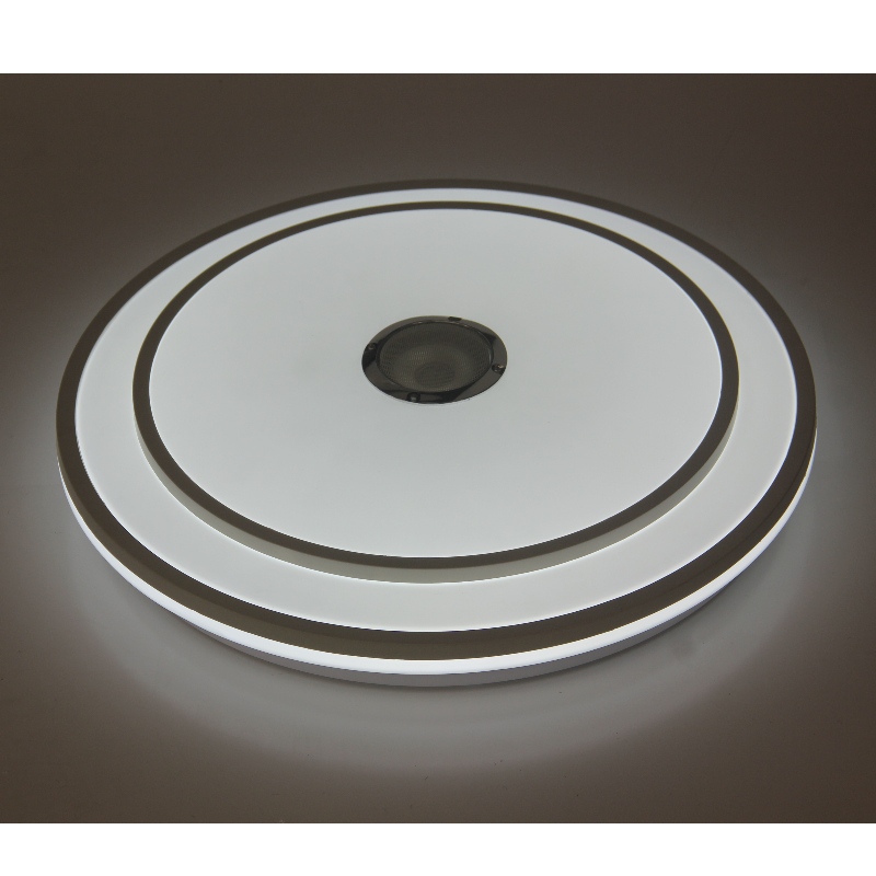 MU110 Lumina plafonului