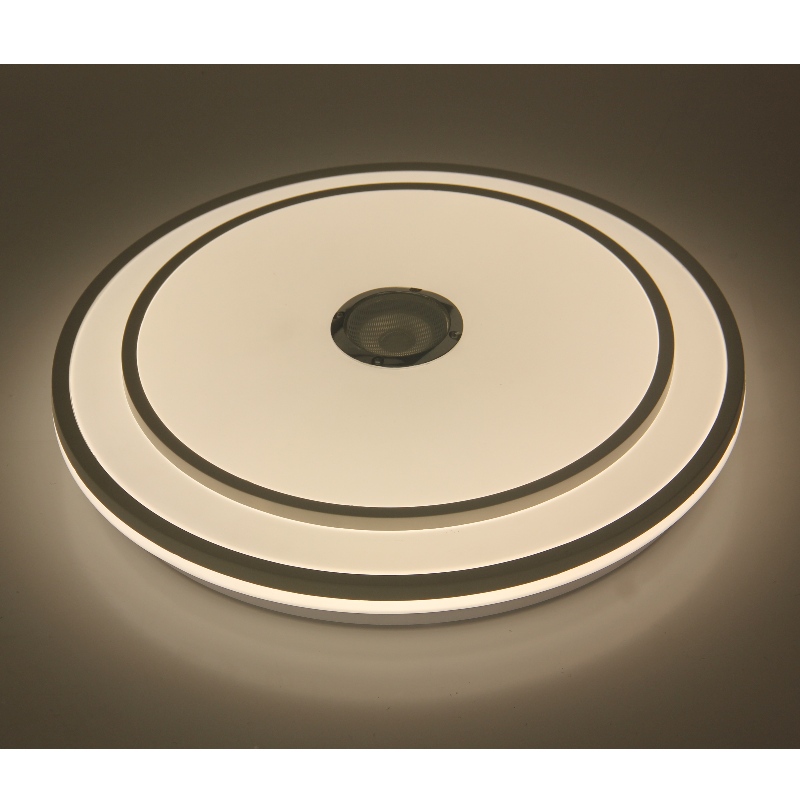 MU110 Lumina plafonului