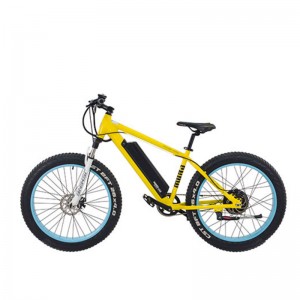 Denumirea produsului S1-X1