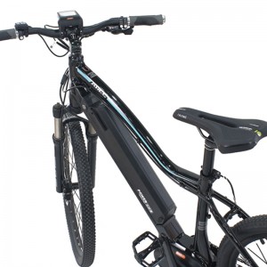 Denumirea produsului S1-Z1