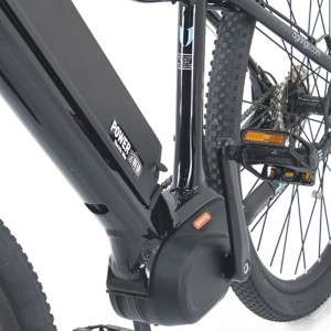 Denumirea produsului S1-Z1