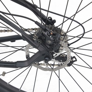 Denumirea produsului S6-Z2