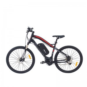 Denumirea produsului S6-Z2