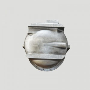 Corpul pompei de ulei