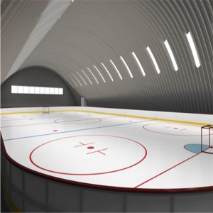 Facilitatea atletică