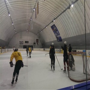 Facilitatea atletică