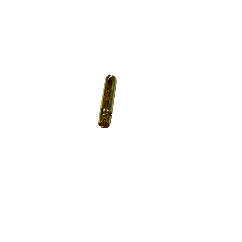 Aglet